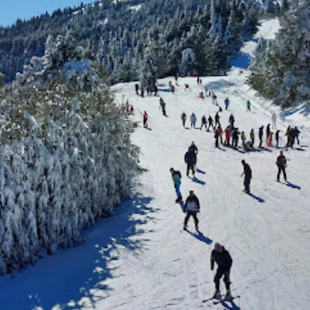 Elatovillage Apartman