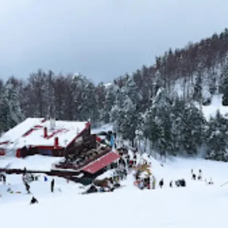 Elatovillage Elatochori