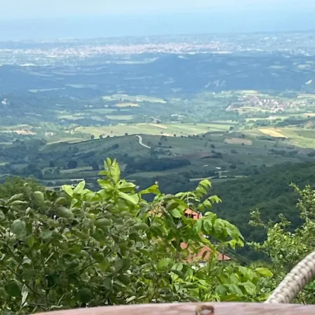 Elatovillage Daire Elatochori