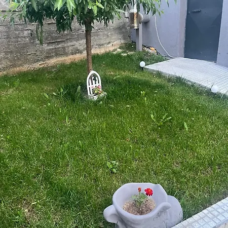 Elatovillage شقة