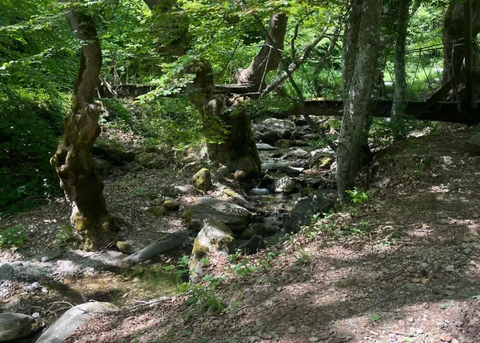 Apartamento Elatovillage Elatochori