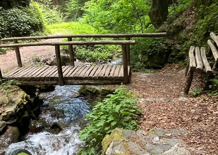 Elatovillage *