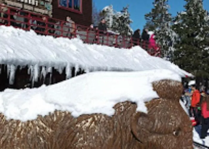 Elatovillage