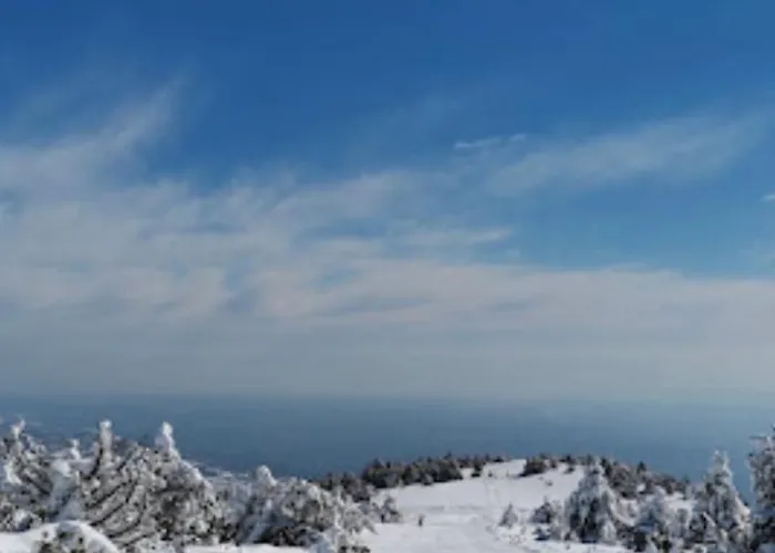 Elatovillage Apartamento Elatochori